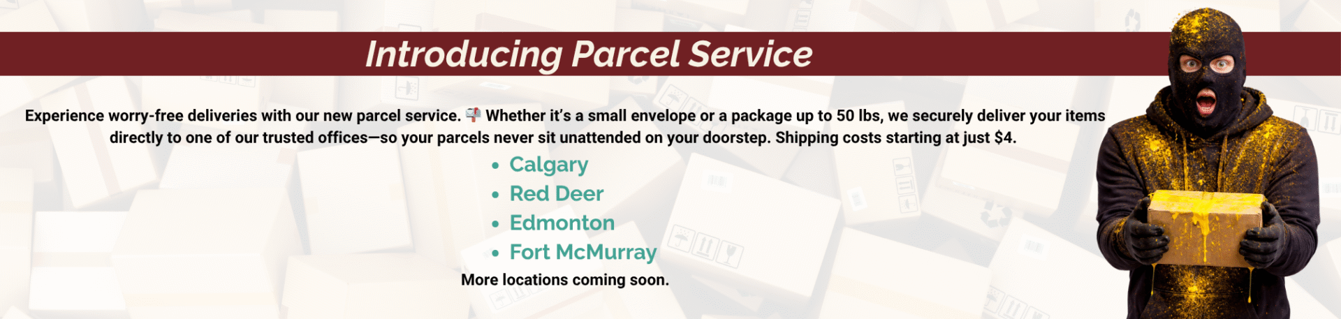 Website Passenger Notifications (39)